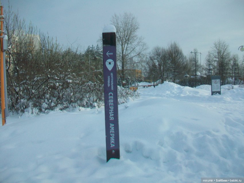 Январские прогулки - 2 — Игровые куклы разных производителей (Разное): редкие бренды (фото 4)