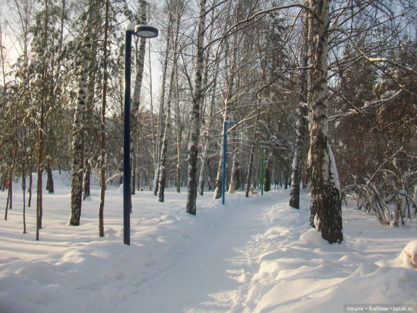 Январские прогулки - 3 — Игровые куклы разных производителей (Разное): редкие бренды (фото 7)