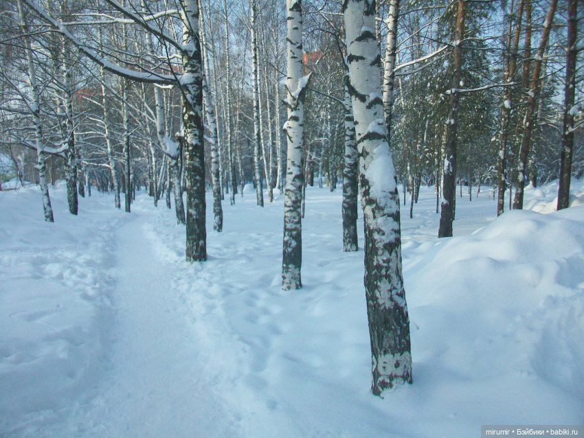 Январские прогулки - 3 — Игровые куклы разных производителей (Разное): редкие бренды (фото 6)