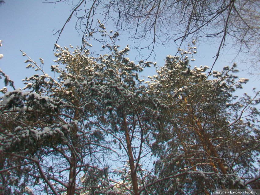 Январские прогулки - 3 — Игровые куклы разных производителей (Разное): редкие бренды (фото 10)