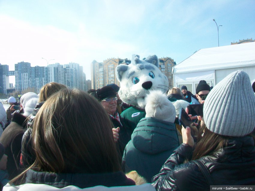 Масленица - 2024 — Игровые куклы разных производителей (Разное): редкие бренды (фото 5)