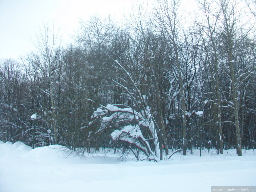 Февральские прогулки - 1 — Игровые куклы разных производителей (Разное): редкие бренды