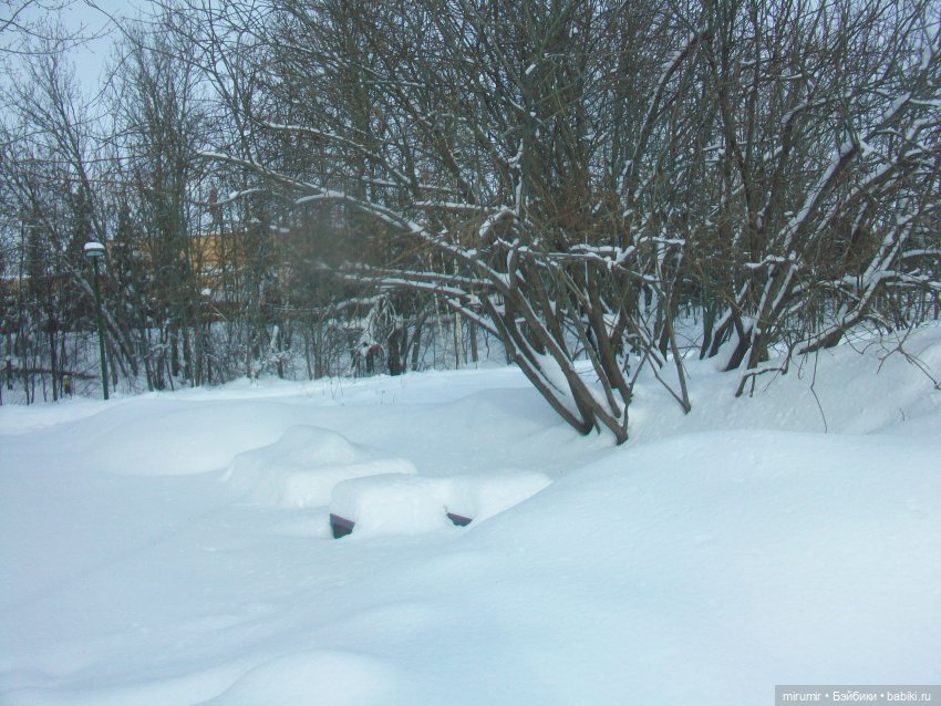 Февральские прогулки - 1 — Игровые куклы разных производителей (Разное): редкие бренды (фото 2)