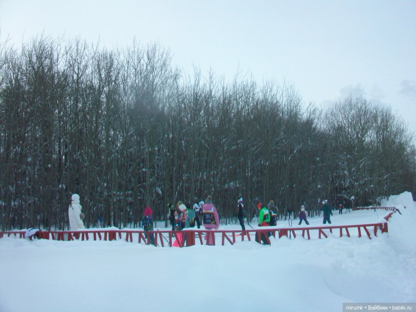 Февральские прогулки - 1 — Игровые куклы разных производителей (Разное): редкие бренды (фото 4)