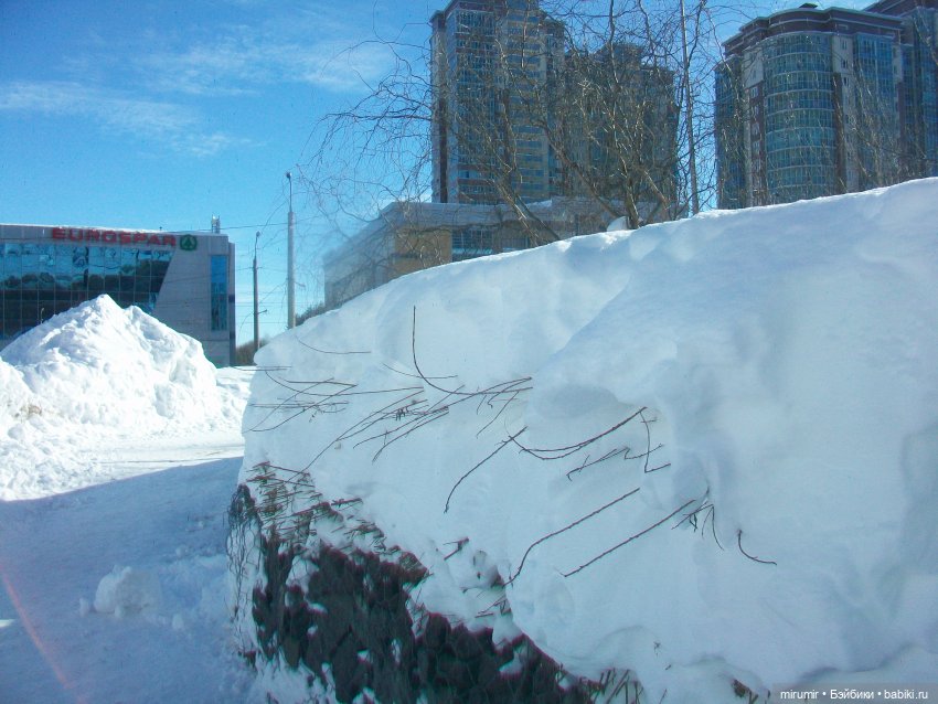 Февральские прогулки - 2 — Игровые куклы разных производителей (Разное): редкие бренды