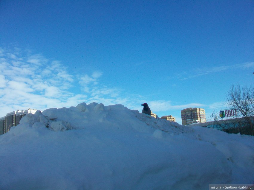 Февральские прогулки - 2 — Игровые куклы разных производителей (Разное): редкие бренды (фото 2)