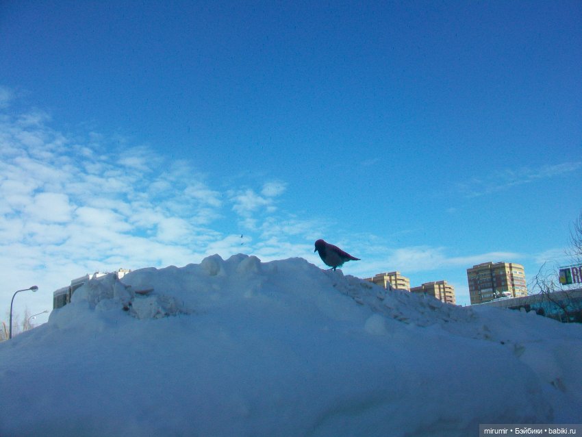 Февральские прогулки - 2 — Игровые куклы разных производителей (Разное): редкие бренды (фото 3)