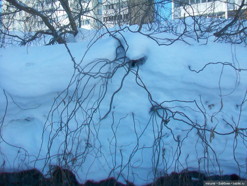 Февральские прогулки - 2 — Игровые куклы разных производителей (Разное): редкие бренды