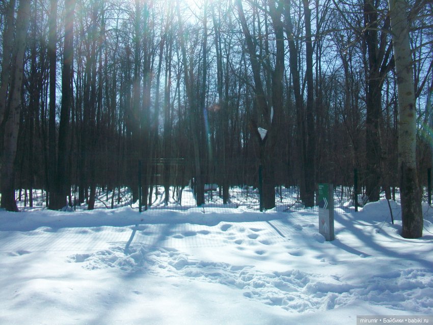 Мартовская прогулка — Игровые куклы разных производителей (Разное): редкие бренды (фото 7)