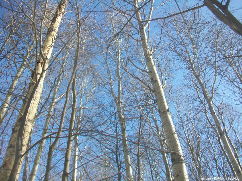 Мартовская прогулка — Игровые куклы разных производителей (Разное): редкие бренды