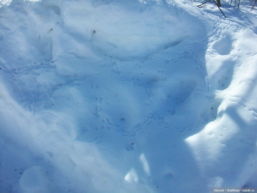 Мартовская прогулка — Игровые куклы разных производителей (Разное): редкие бренды