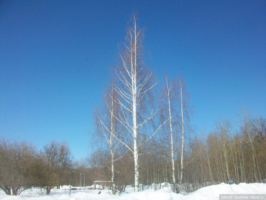 Мартовская прогулка — Игровые куклы разных производителей (Разное): редкие бренды