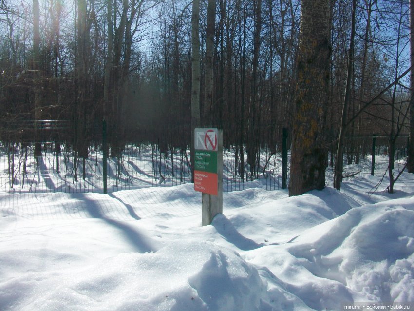 Мартовская прогулка — Игровые куклы разных производителей (Разное): редкие бренды (фото 8)