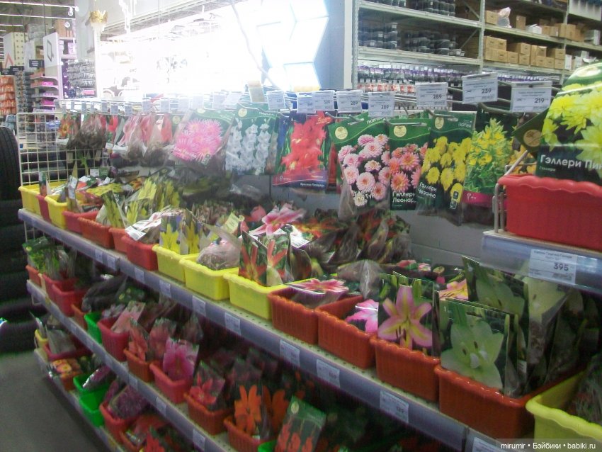 Как мы ходили в МЕГАСТРОЙ (фото 4)