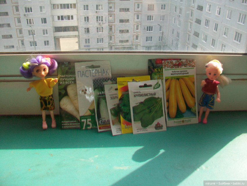 Как мы ходили в МЕГАСТРОЙ