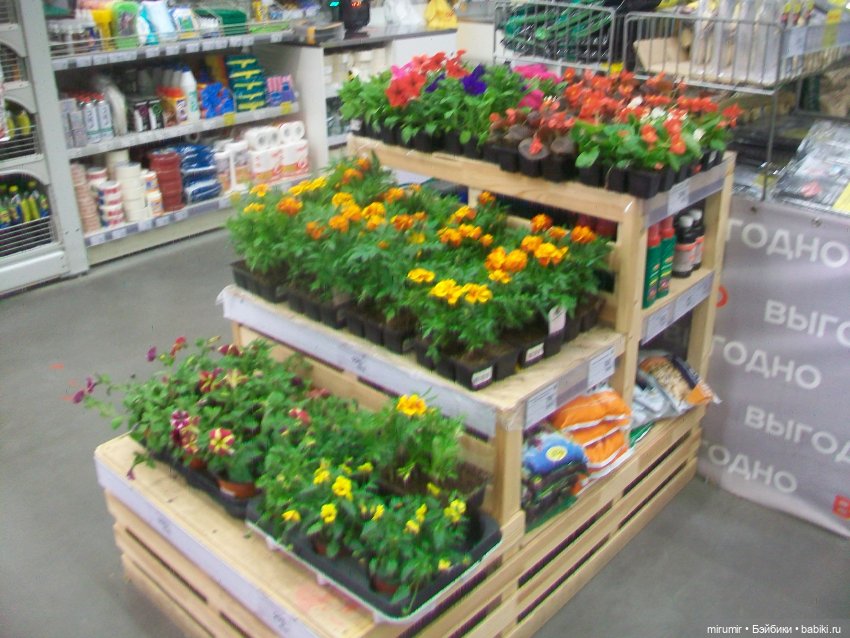 Как мы ходили в МЕГАСТРОЙ (фото 7)