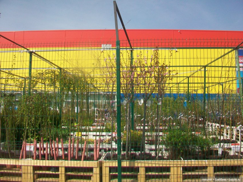 Как мы ходили в МЕГАСТРОЙ (фото 2)