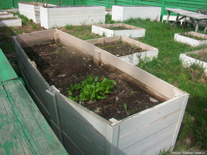 С Первомаем — Интересное и необычное: фотоподборки