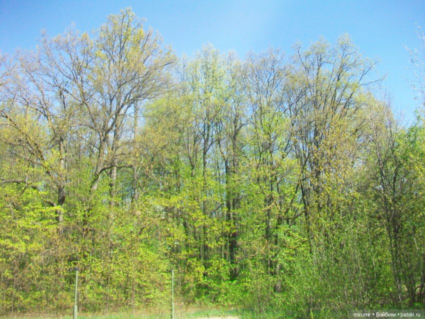 С Первомаем — Интересное и необычное: фотоподборки