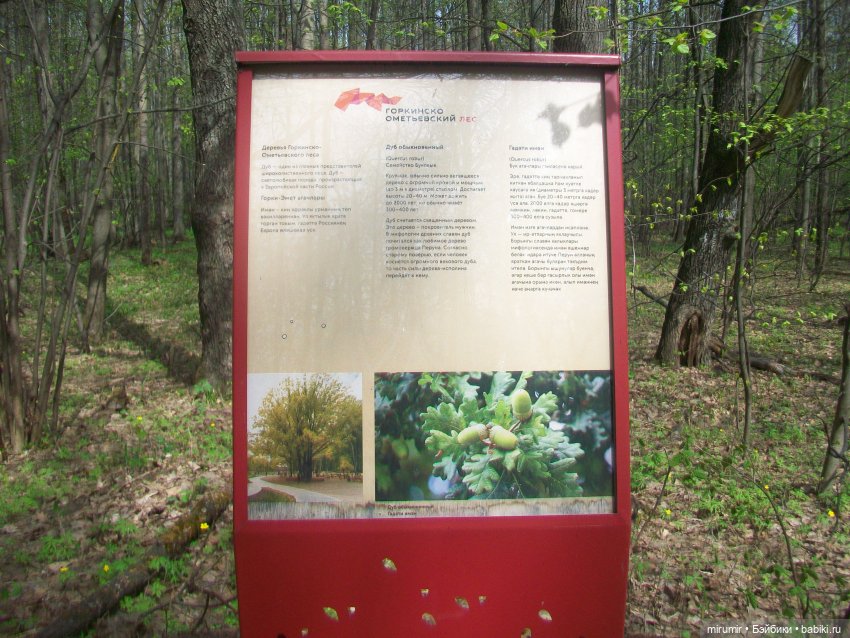 С Первомаем — Интересное и необычное: фотоподборки