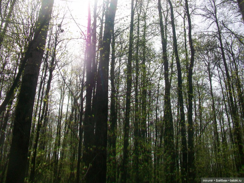 С Первомаем — Интересное и необычное: фотоподборки