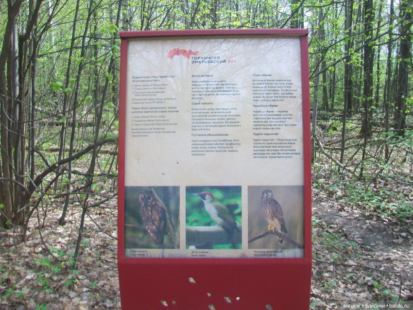 С Первомаем — Интересное и необычное: фотоподборки