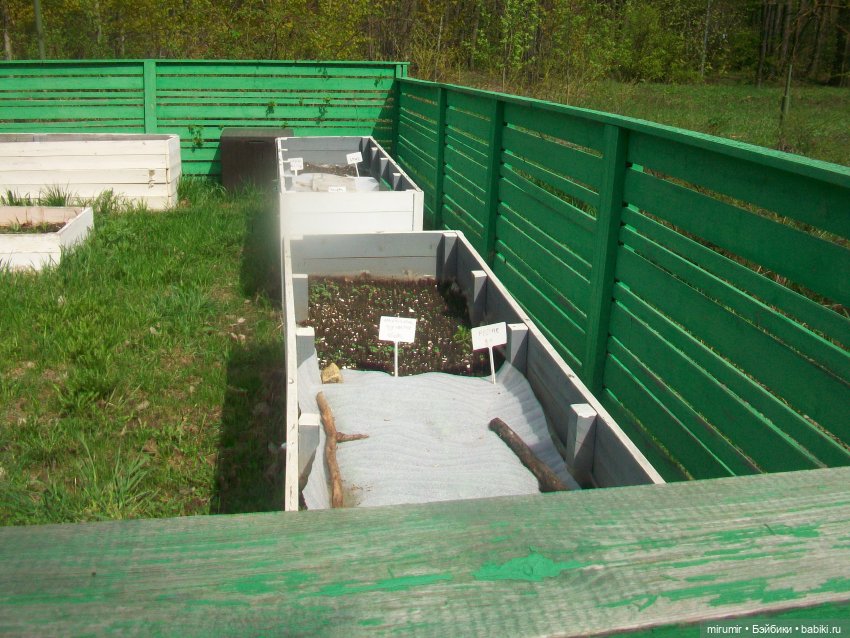 С Первомаем — Интересное и необычное: фотоподборки (фото 10)