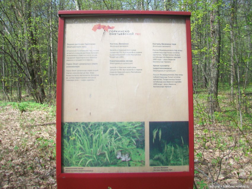 С Первомаем — Интересное и необычное: фотоподборки