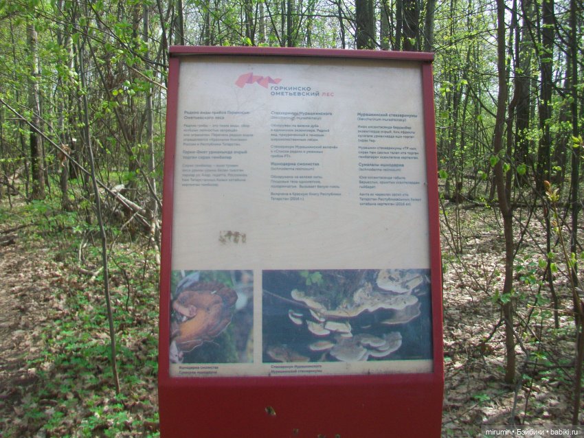 С Первомаем — Интересное и необычное: фотоподборки