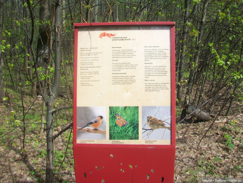 С Первомаем — Интересное и необычное: фотоподборки