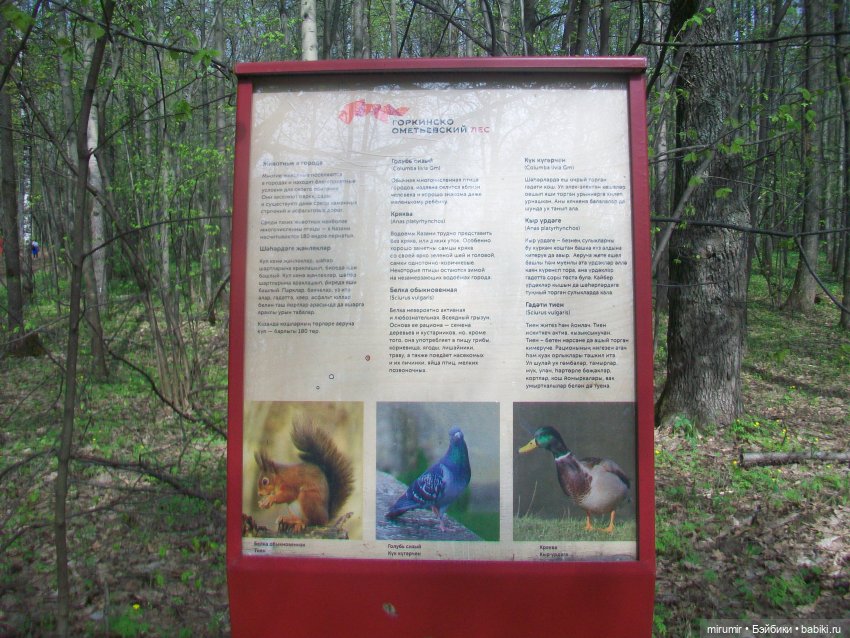 С Первомаем — Интересное и необычное: фотоподборки