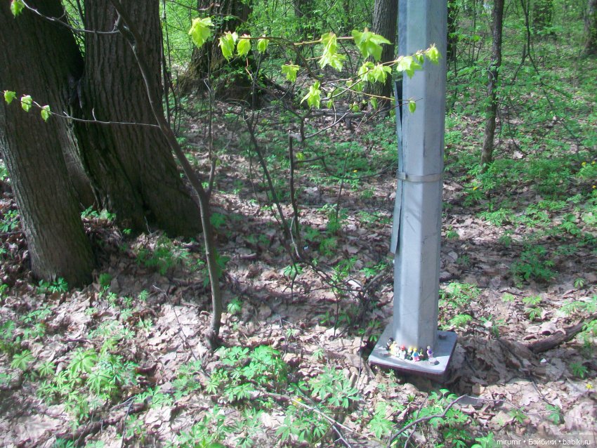 С Первомаем — Интересное и необычное: фотоподборки