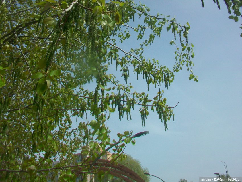 С Первомаем — Интересное и необычное: фотоподборки