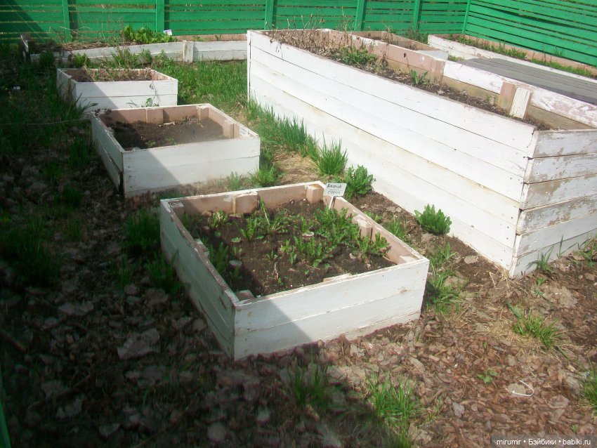 С Первомаем — Интересное и необычное: фотоподборки