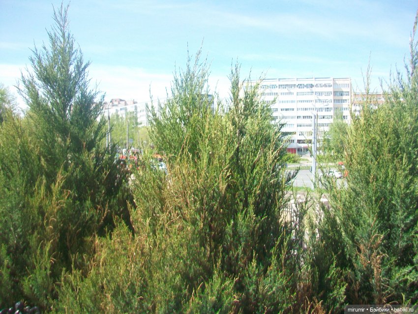 Пасха - 2024 — Интересное и необычное: фотоподборки (фото 10)