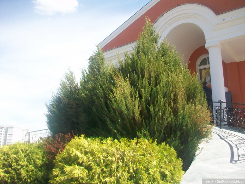 Пасха - 2024 — Интересное и необычное: фотоподборки (фото 9)