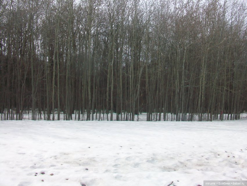 Апрельские прогулки - 1 — Игровые куклы разных производителей (Разное): редкие бренды (фото 9)