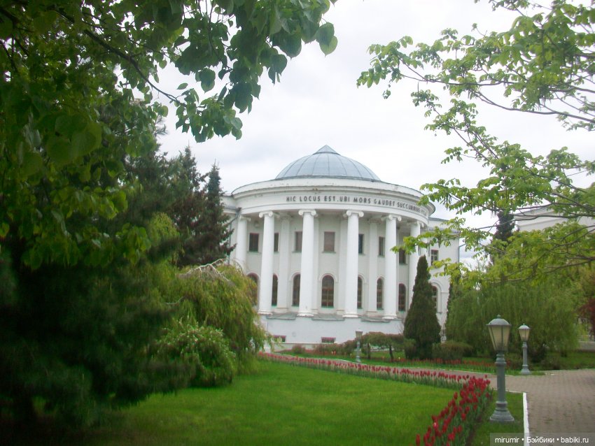 С днем Пионерии — Интересное и необычное: фотоподборки