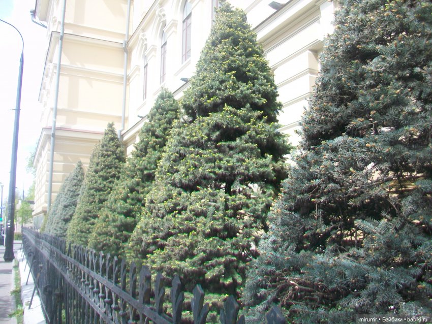 Майские прогулки - 1 — Туризм и путешествия: фотоотчеты из поездок