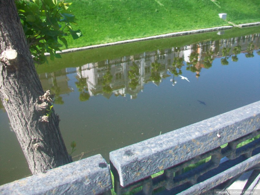 Майские прогулки - 3 — Туризм и путешествия: фотоотчеты из поездок (фото 7)