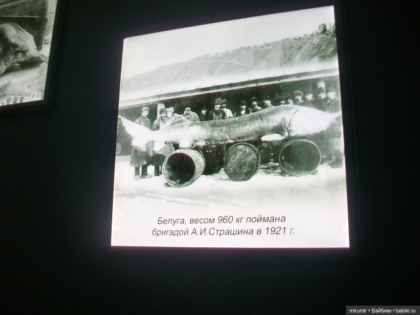 Тетюши, Долгая поляна - 2024