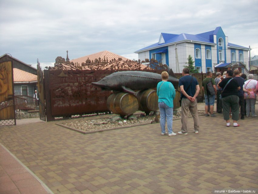 Тетюши, Долгая поляна - 2024