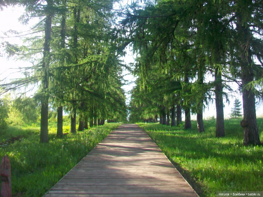 Тетюши, Долгая поляна - 2024