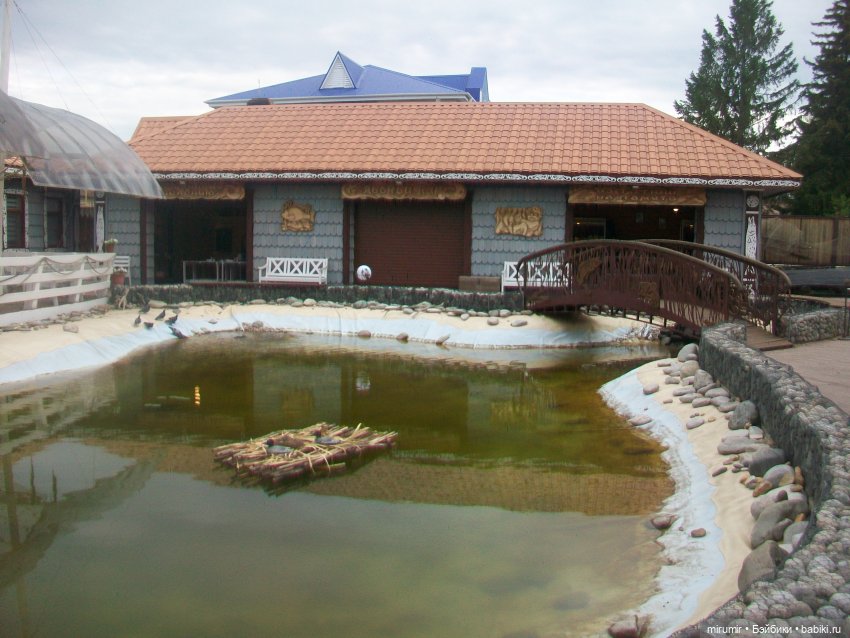 Тетюши, Долгая поляна - 2024