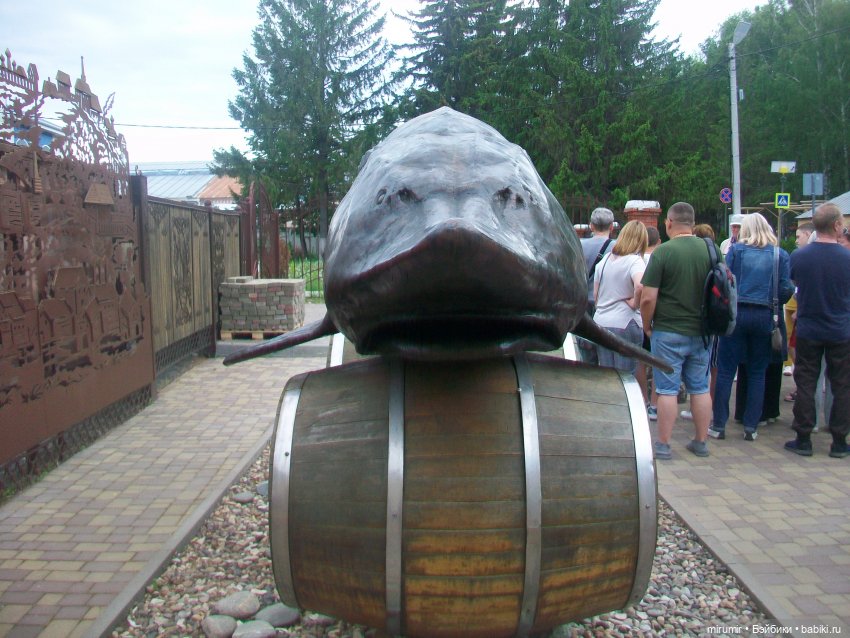 Тетюши, Долгая поляна - 2024