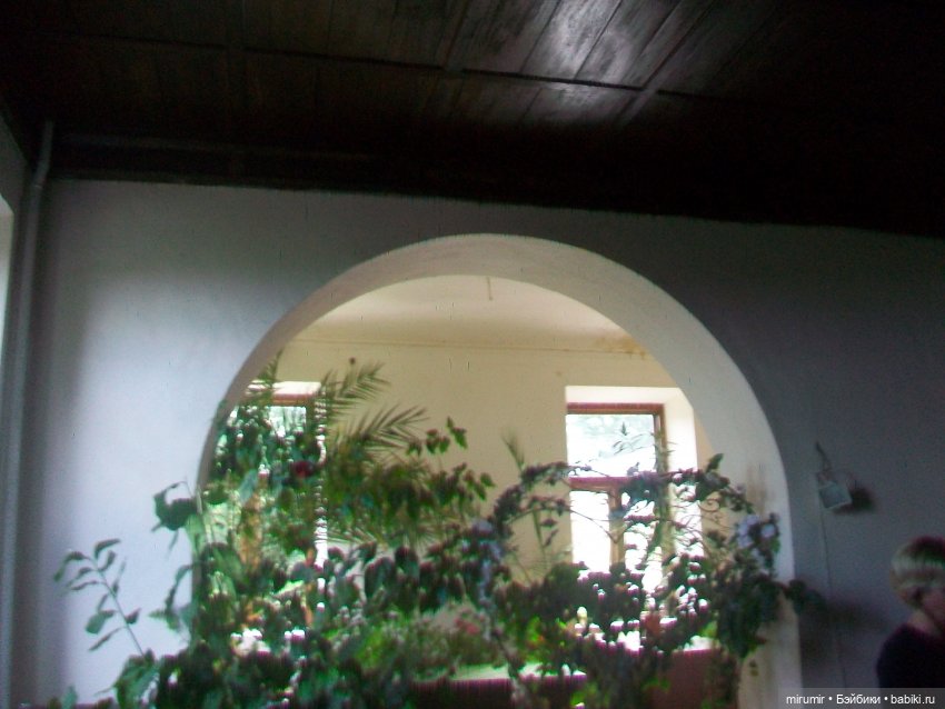 Тетюши, Долгая поляна - 2024