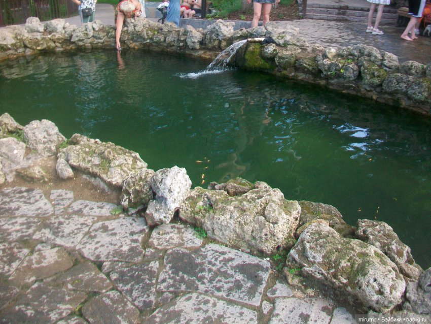 Булгар, Нижнекамск - 2024