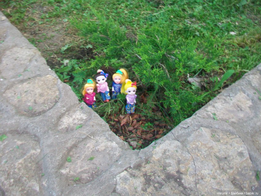 Булгар, Нижнекамск - 2024