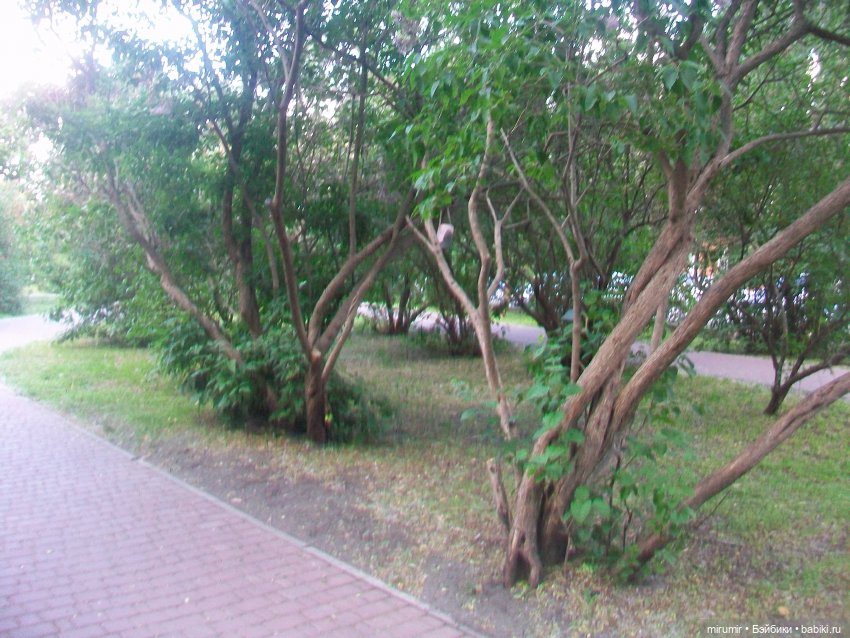 Ульяновск - 2024 — Туризм и путешествия: фотоотчеты из поездок