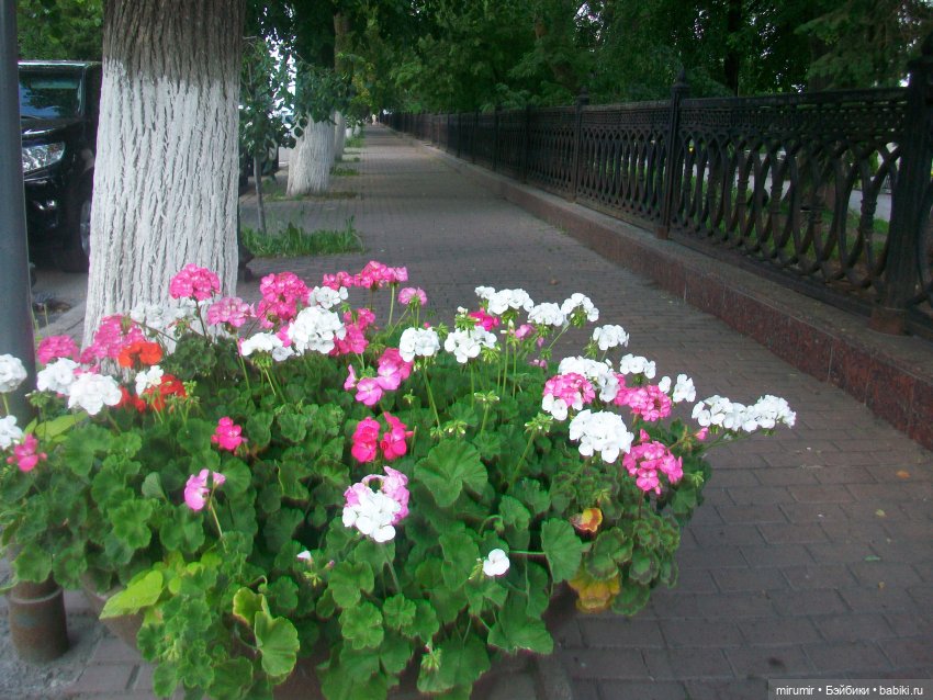 Ульяновск - 2024 — Туризм и путешествия: фотоотчеты из поездок